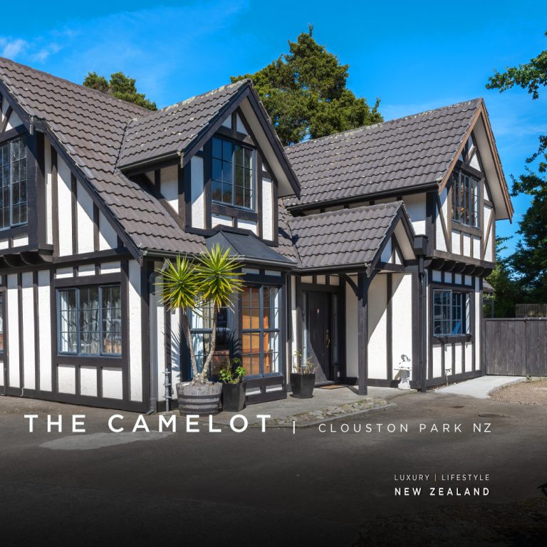 THE CAMELOT 18 McCarthy Grove